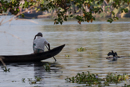 The Kerala backwaters
