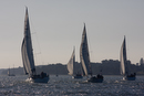 Yacht racing on the Orwell