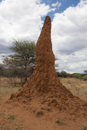 Termite Mound - Otjiwarongo