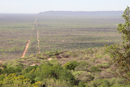 From Waterberg Plateau